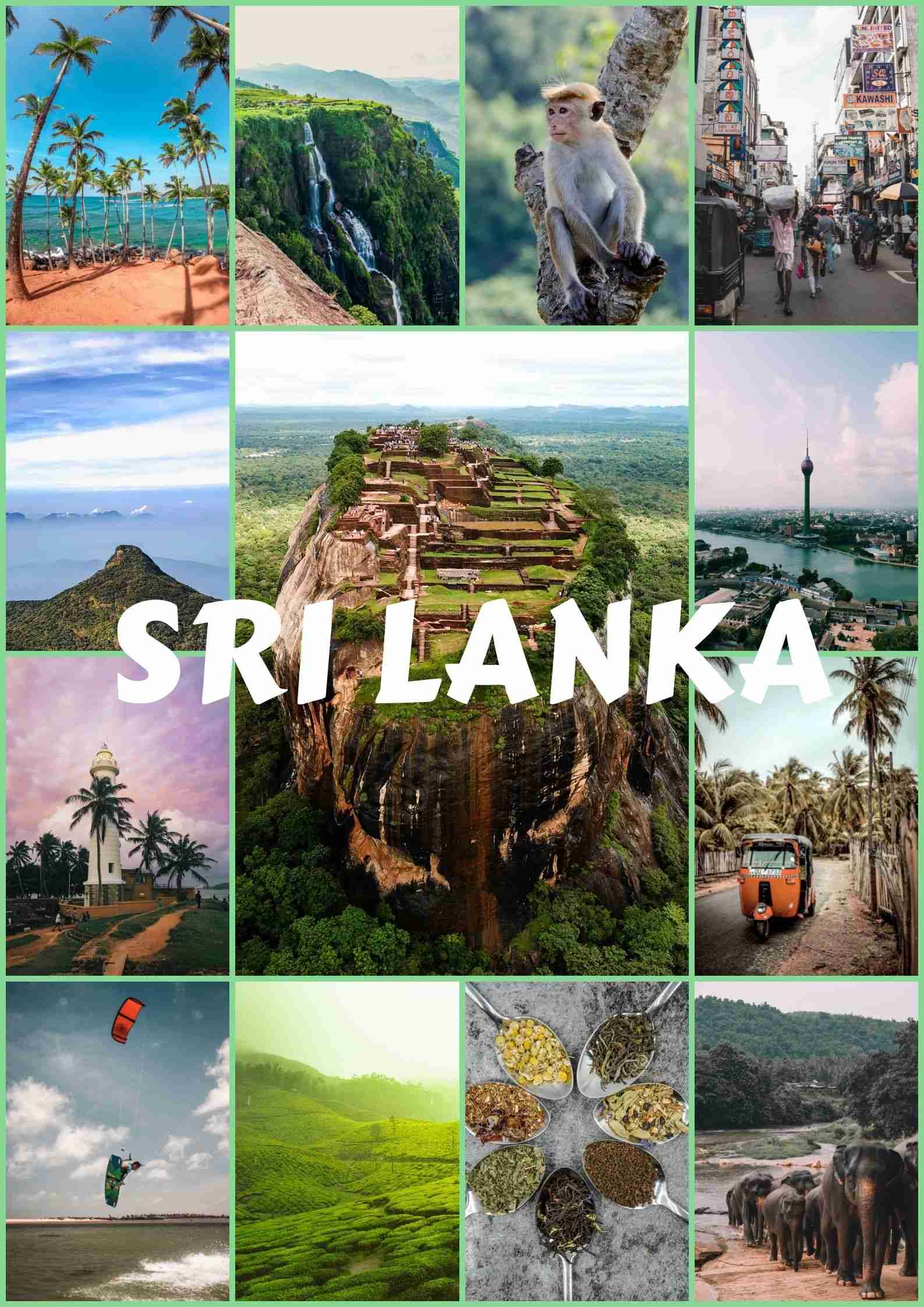 Trippy Srilanka