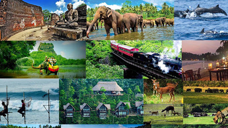 Tours to Sri Lanka